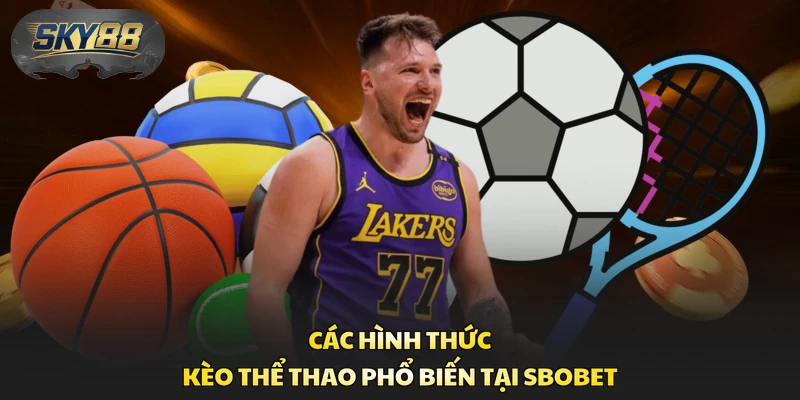 Các hình thức kèo thể thao phổ biến tại SBOBET