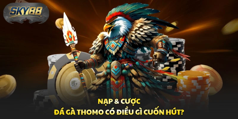 Nạp & cược đá gà Thomo có điều gì cuốn hút?