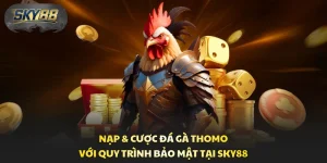 Nạp & Cược Đá Gà Thomo Với Quy Trình Bảo Mật Tại Sky88