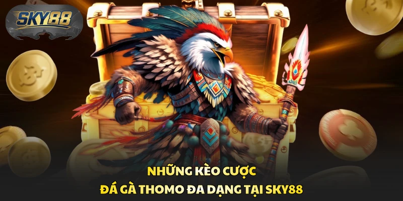 Những kèo cược đá gà Thomo đa dạng tại Sky88