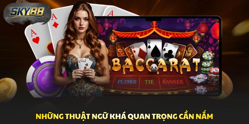 Những thuật ngữ khá quan trọng cần nắm